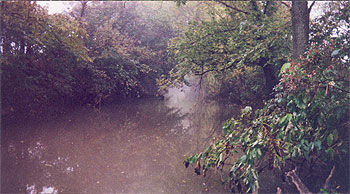 A slow moving Crane Creek as it was in the late 1960s and early 1970s, with more overgrowth on the East side of the creek. It was the area of Crane Creek with a deep-water habitat for large carp and bullhead in any season.